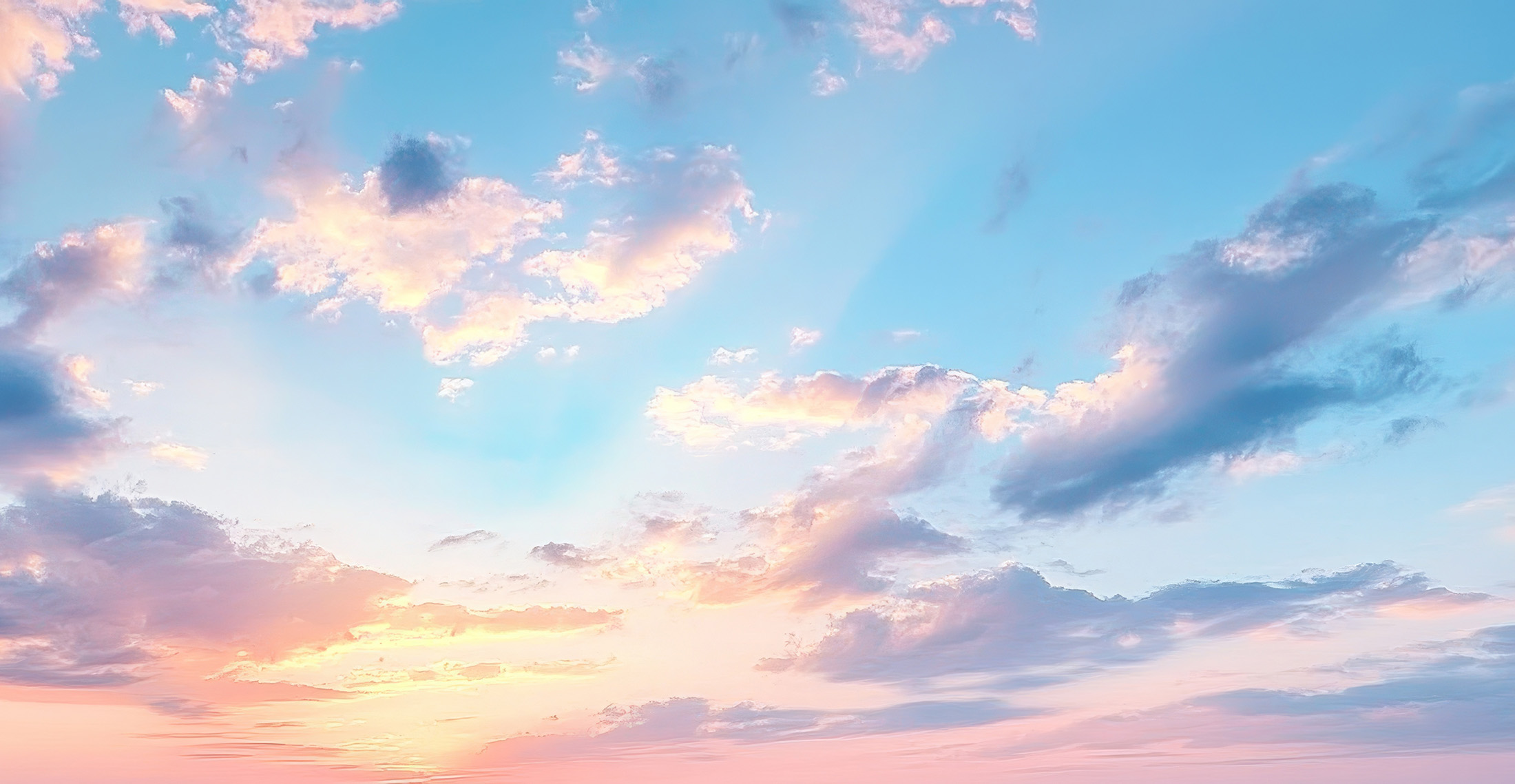 買取スカイハイ背景画像